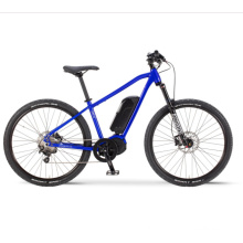 Wholesale Road Mountain Electric Bike with Deoro 11 Speed